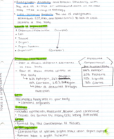 Anatomy Chapter 1 Textbook/Lecture Notes