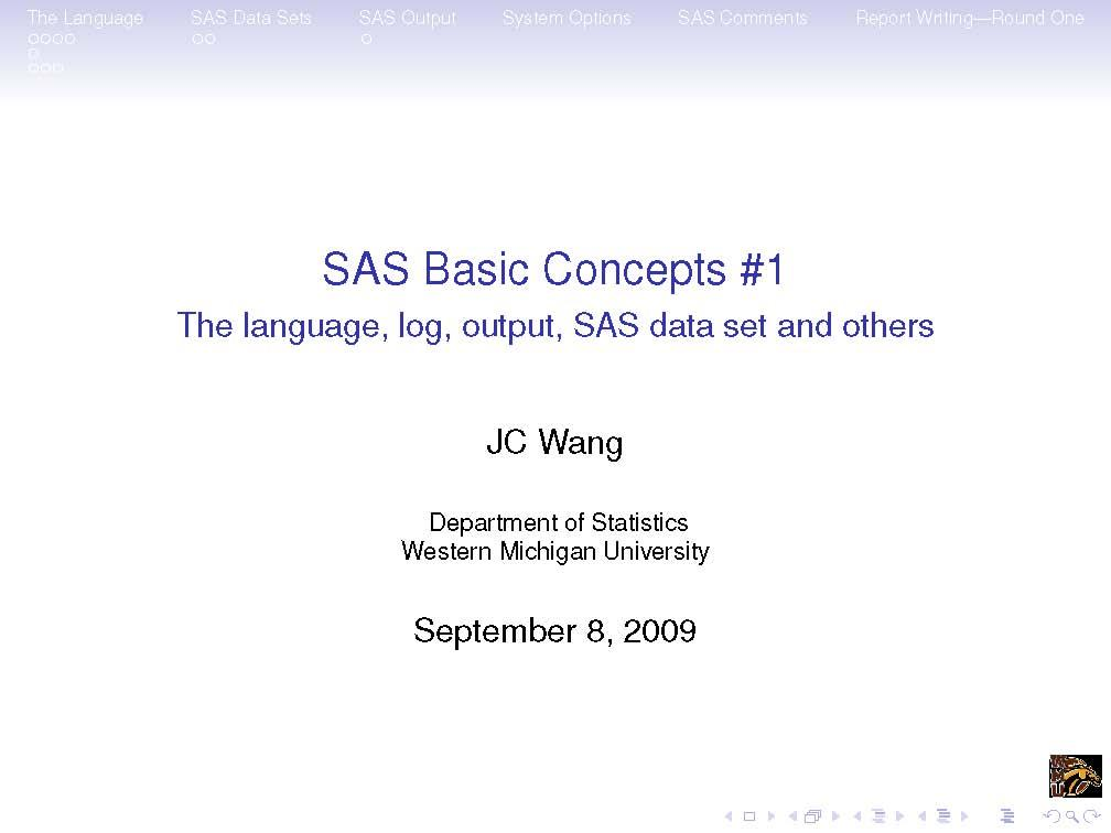 Sas Programming