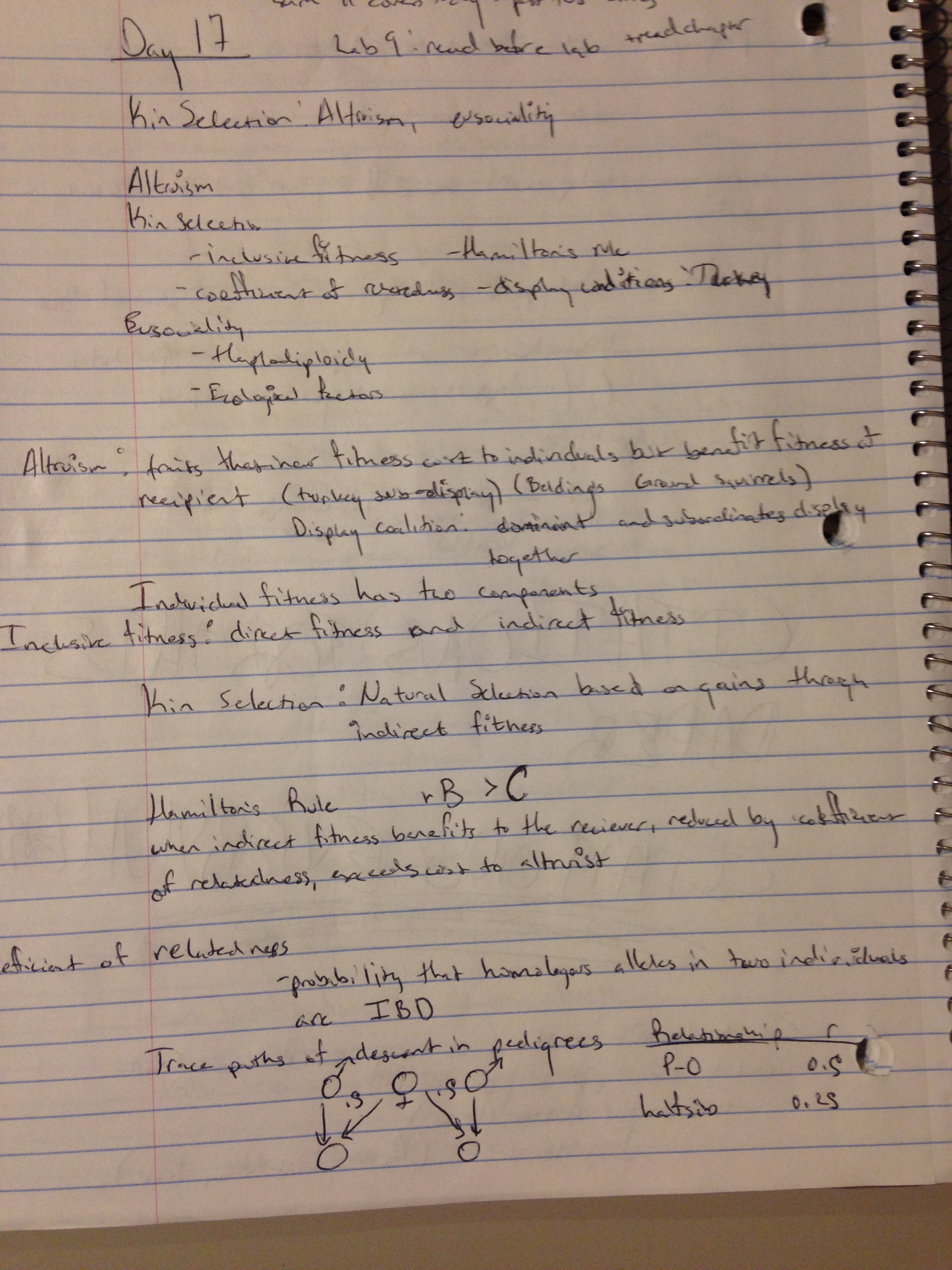 Week 10 Notes