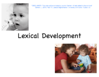 Lexical Segmentation