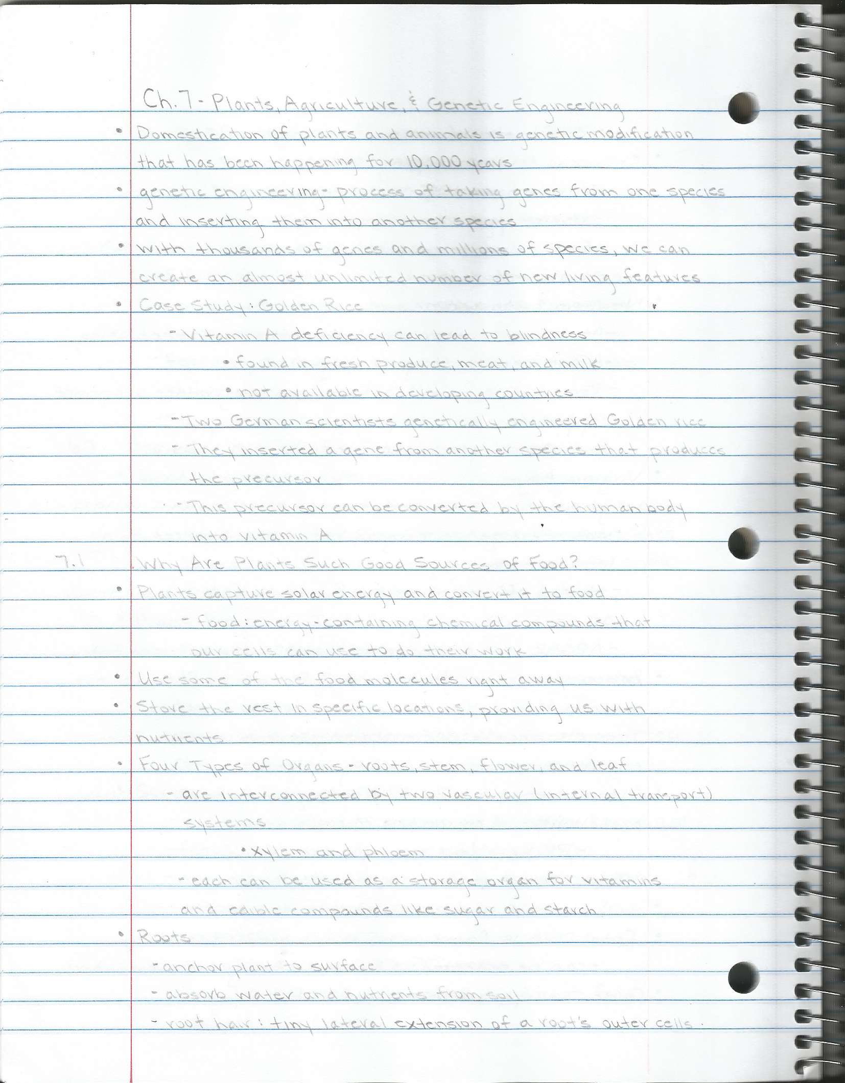 BIOL 1014 Ch. 7 Notes