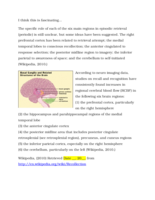 PSY 375 Infancy and Early Childhood Development Paper
