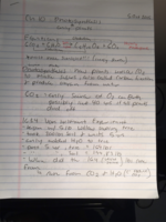 ch 10: photosynthesis lecture ntoes