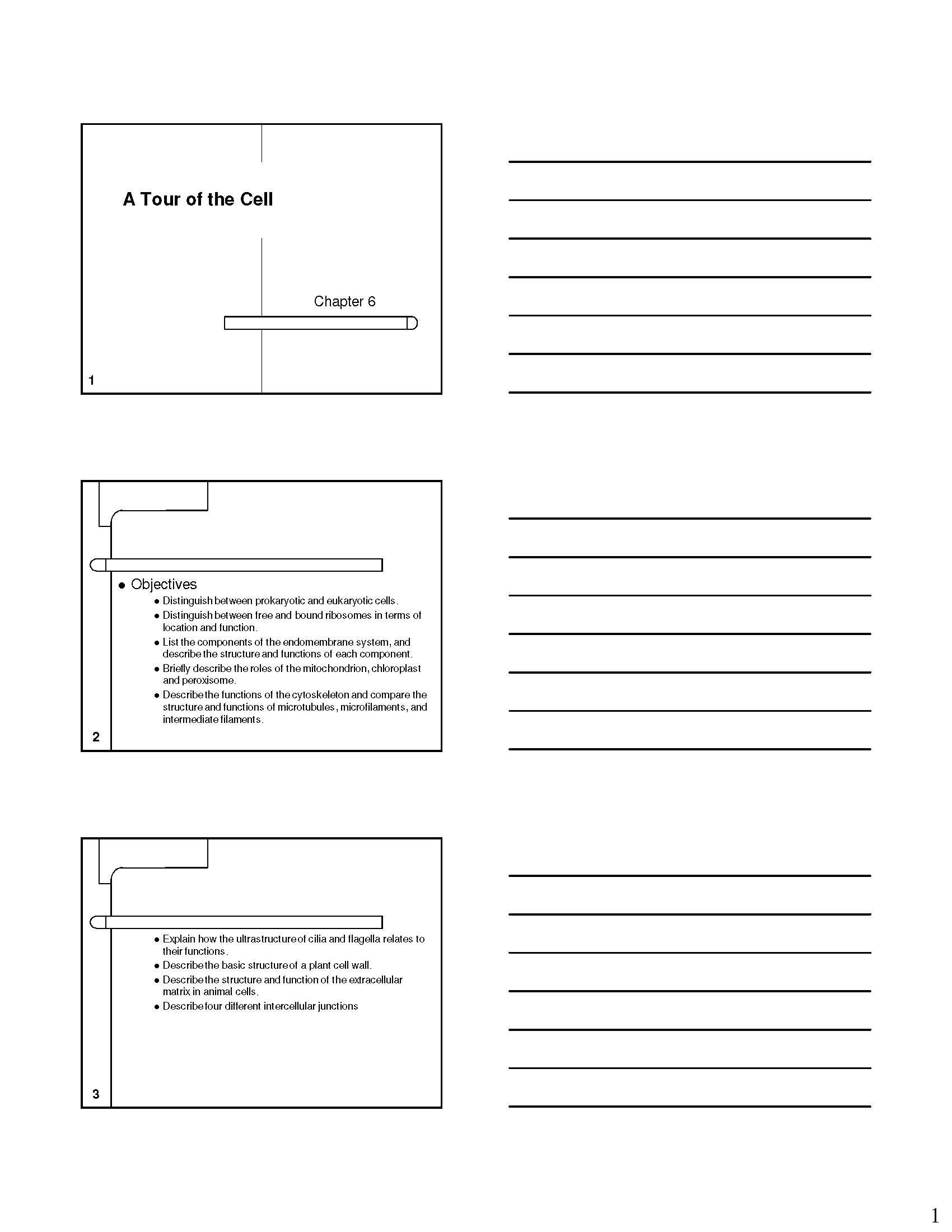 Fundamentals Of Biology I