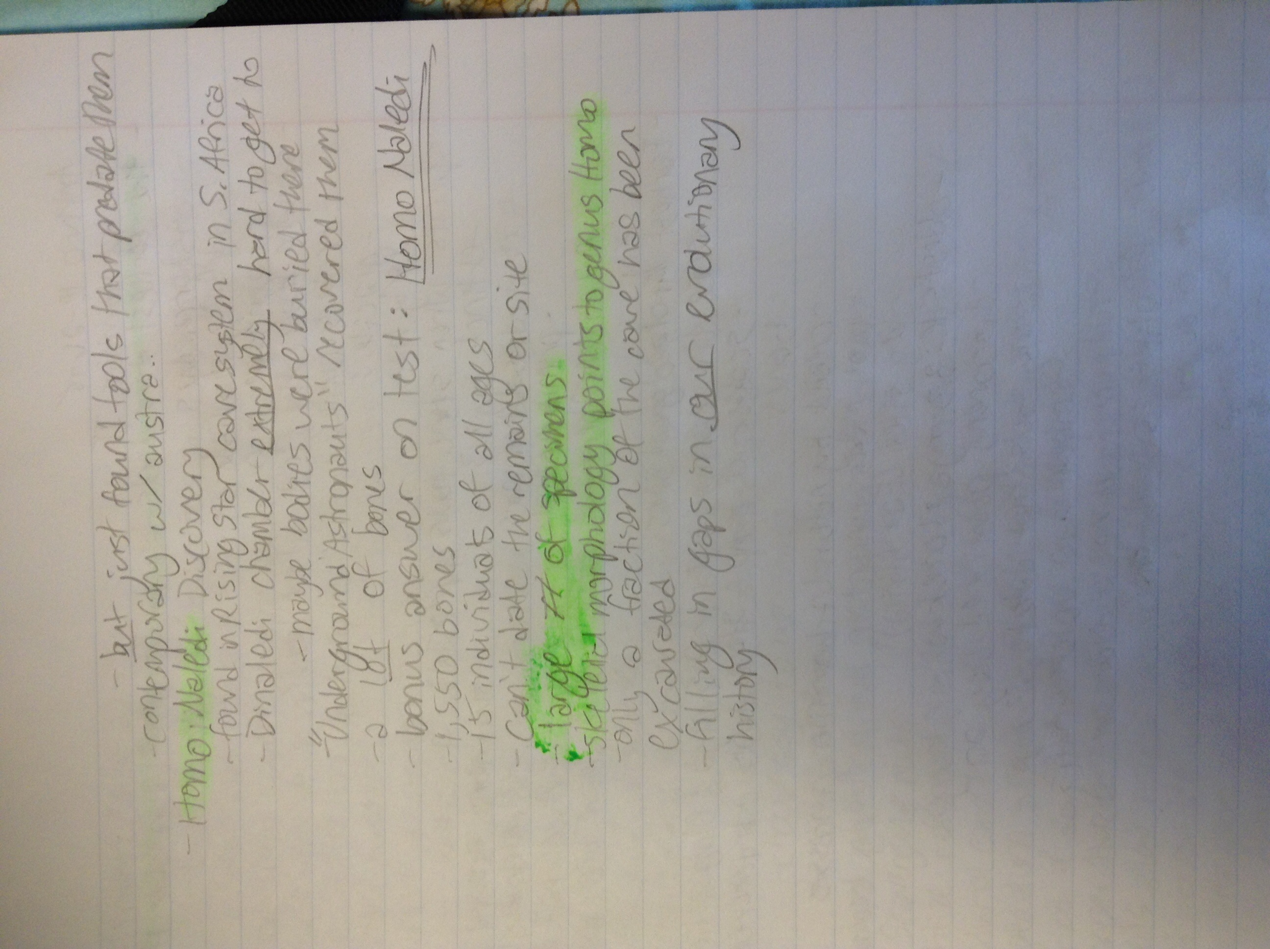 Anthropology 10/19-10/23