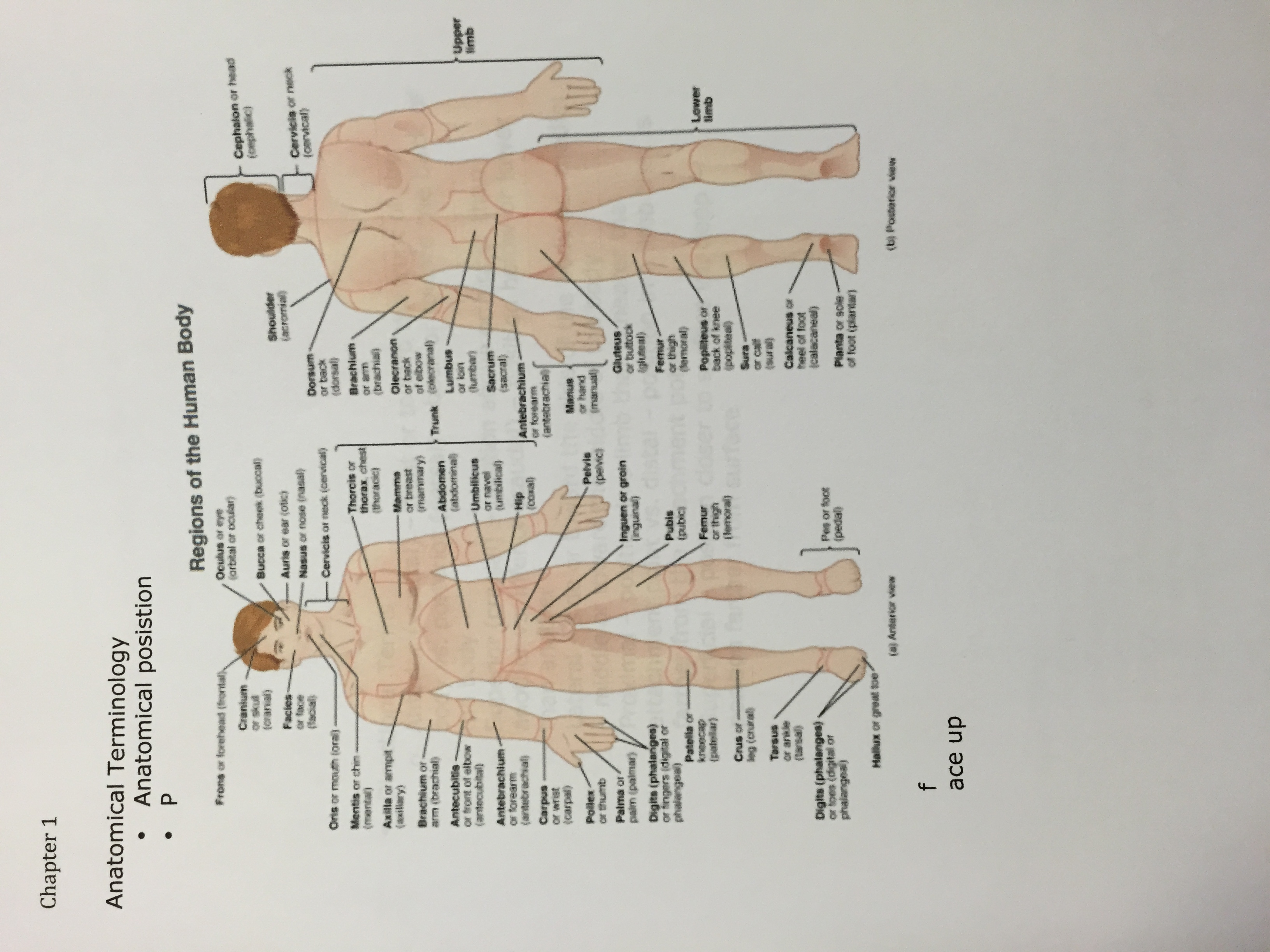 Test 1 Notes