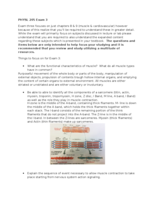 PHYS exam 3 Muscular & cardiovascular study guide
