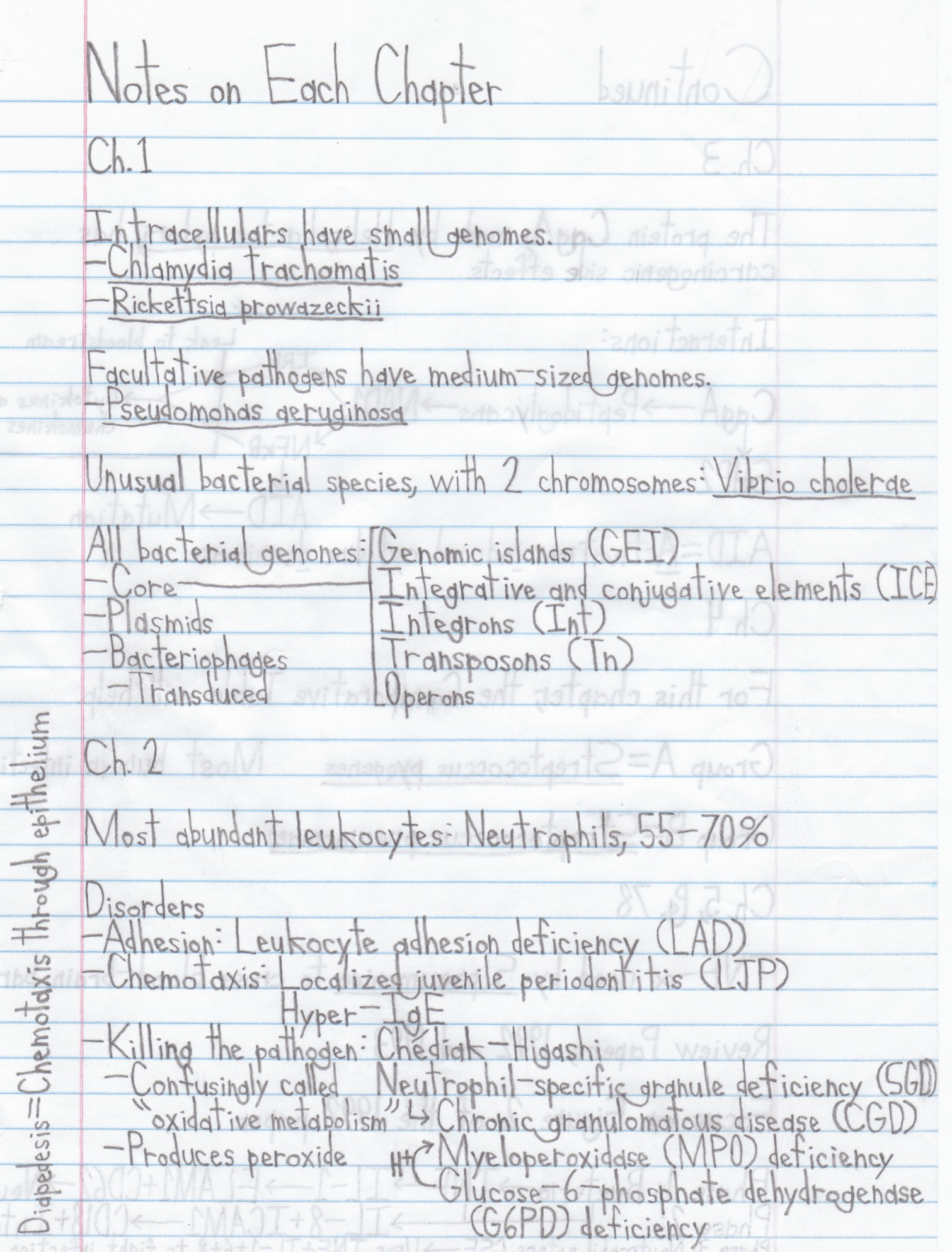 Notes for October 11 Week