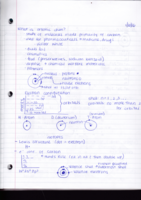 Week 1 Notes (1/6-1/8)