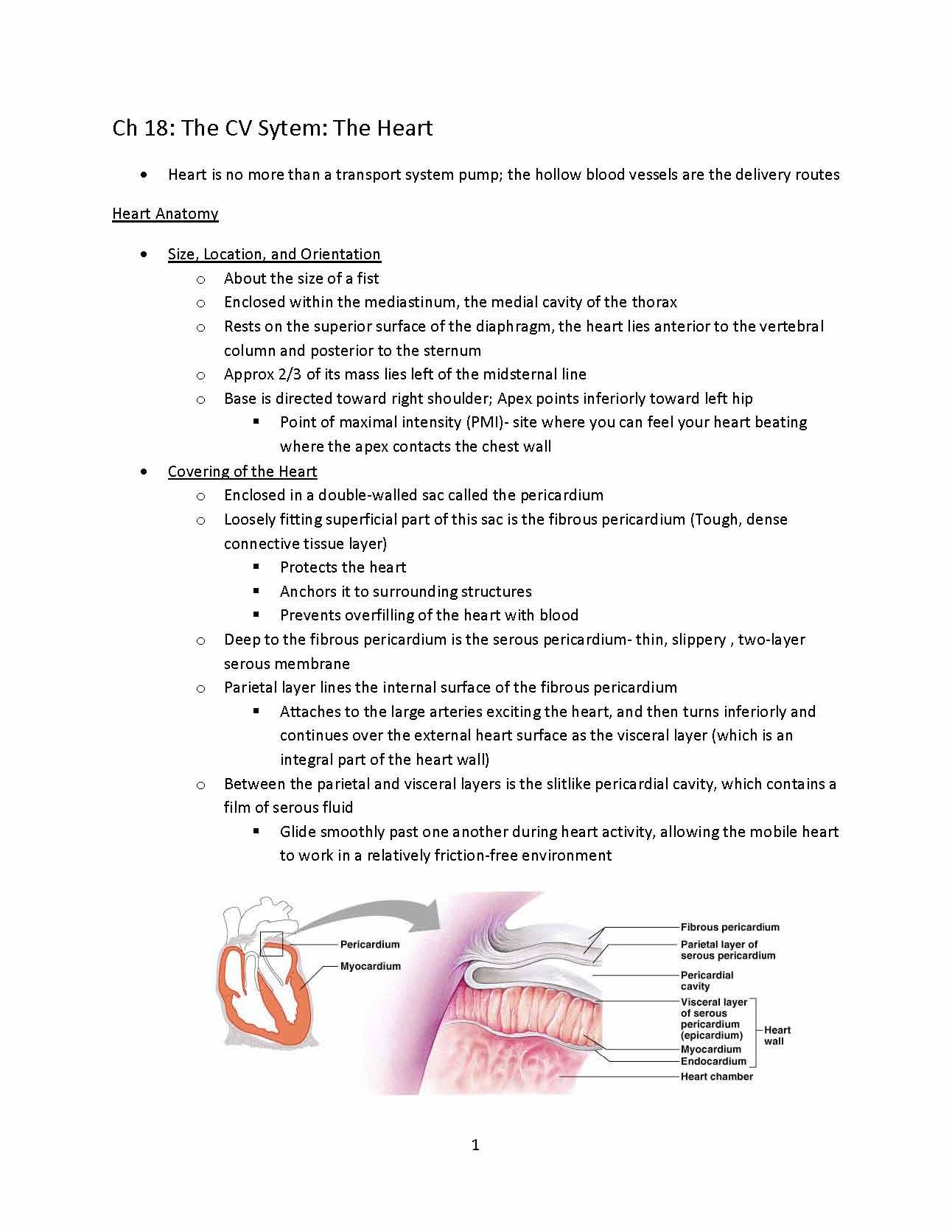 FUNC ANAT & PHYS I