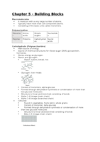 Chapter 5 - Building Blocks