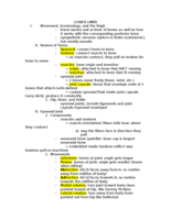 Lower Limbs Sep 24