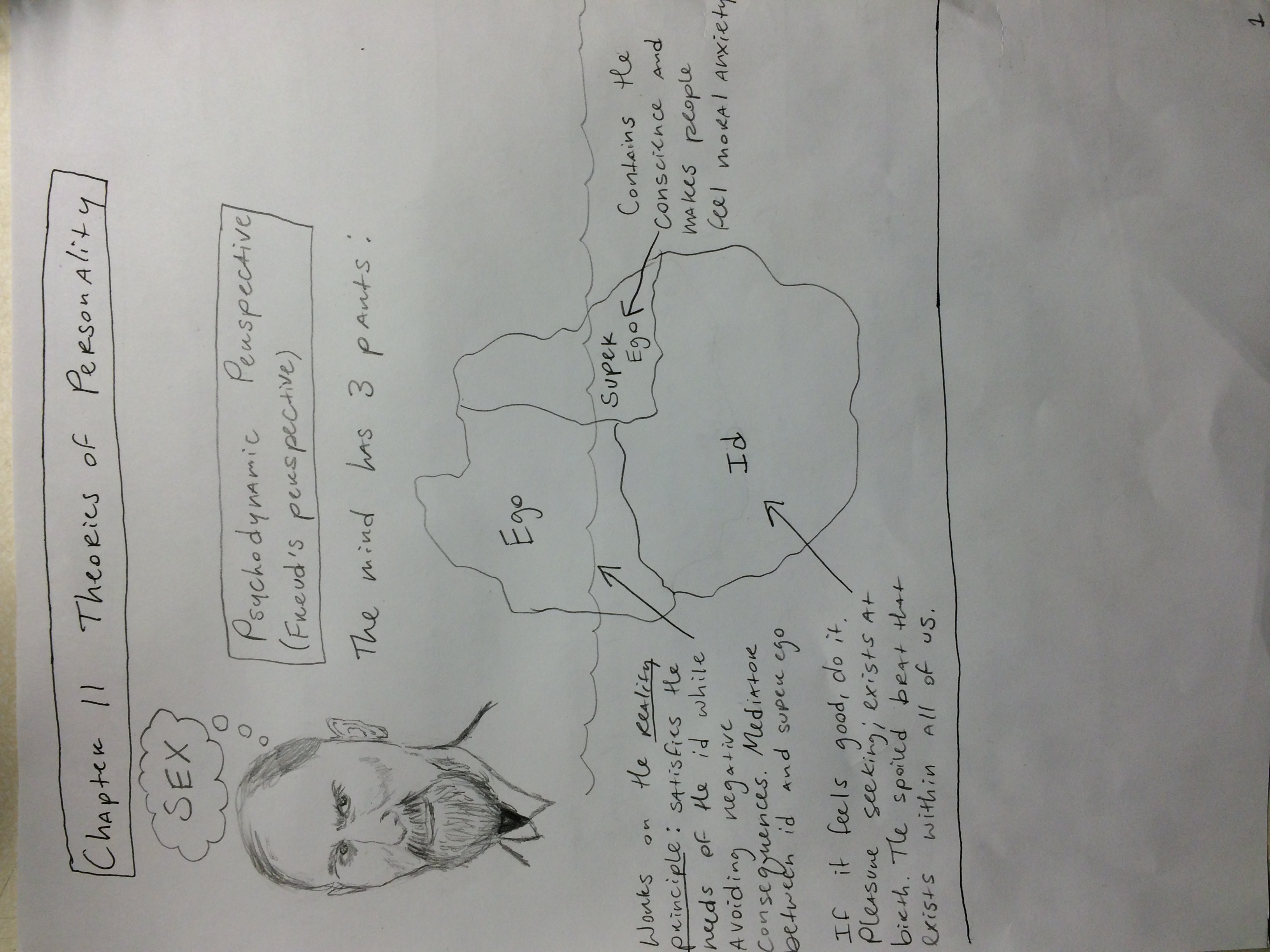 Chapter 11 Theories of Personality - Dope Notes