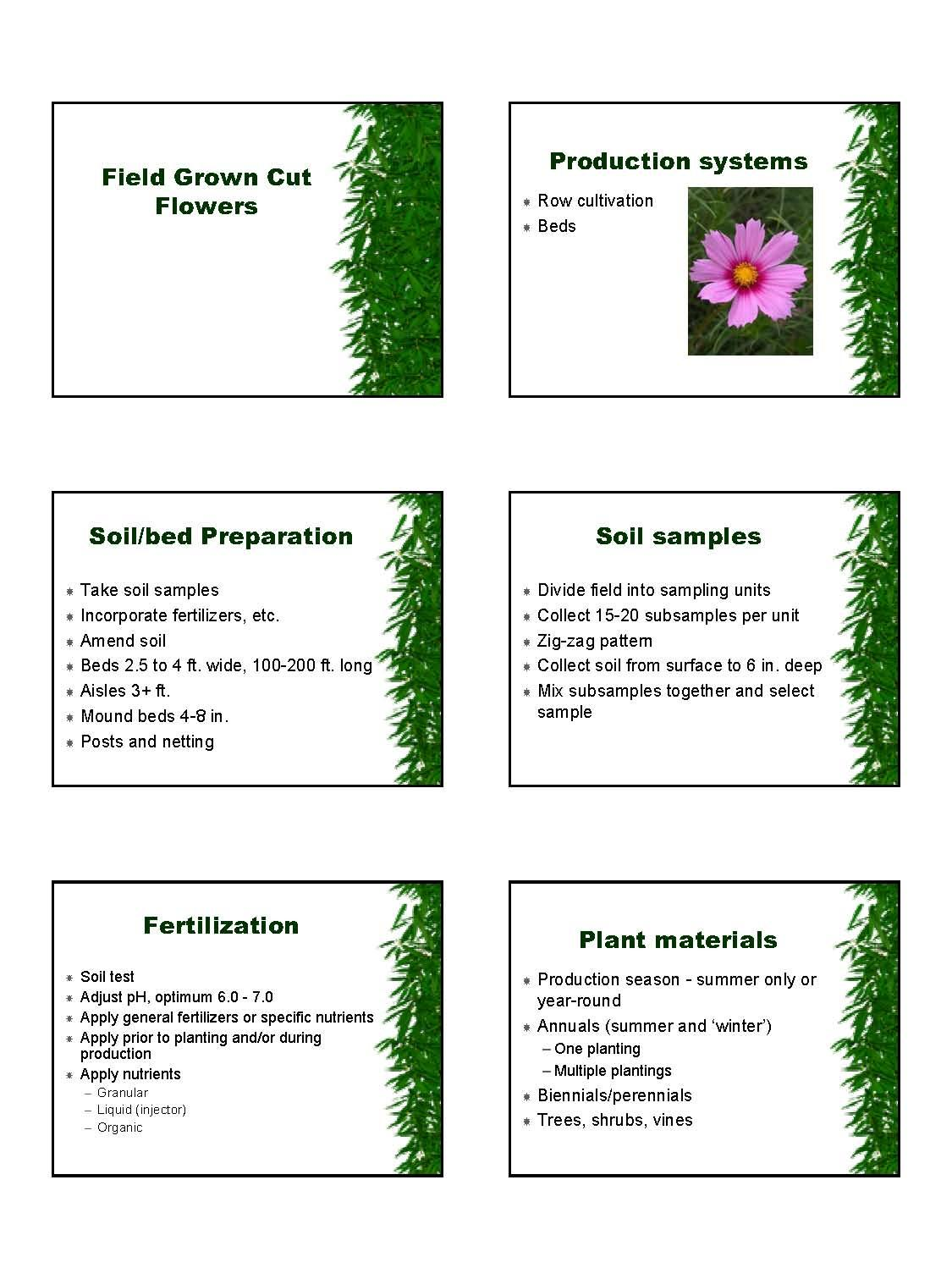 Production of Floricultural Crops