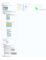 Cell Membrane & Membrane Transport