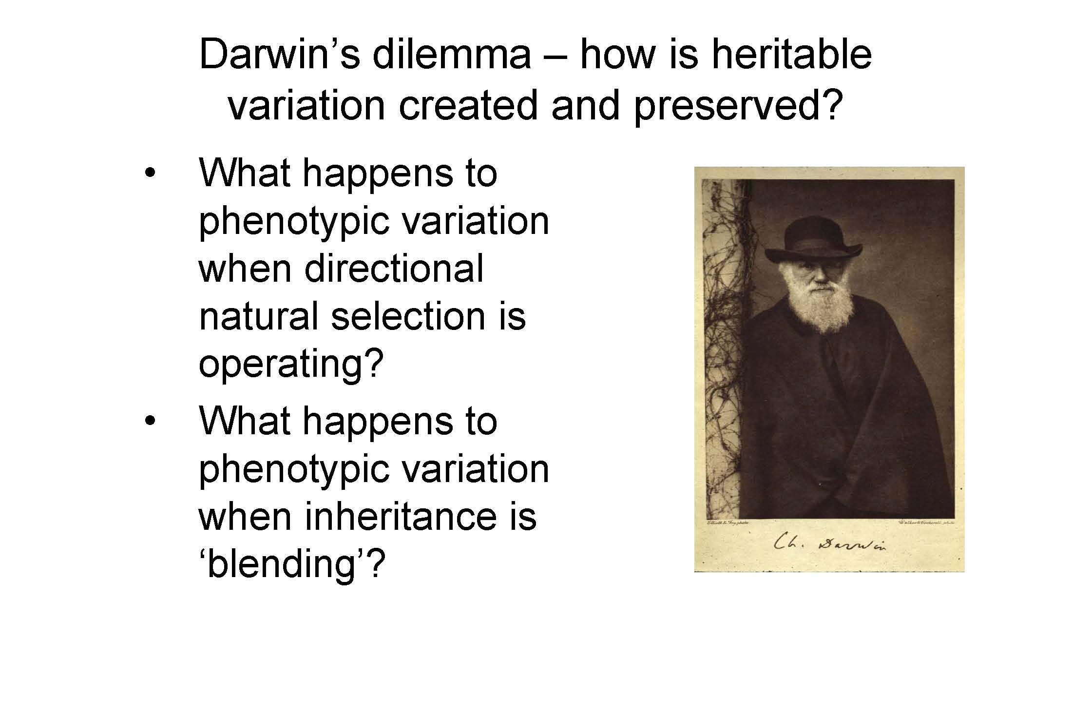 INTRO BIOLOGY