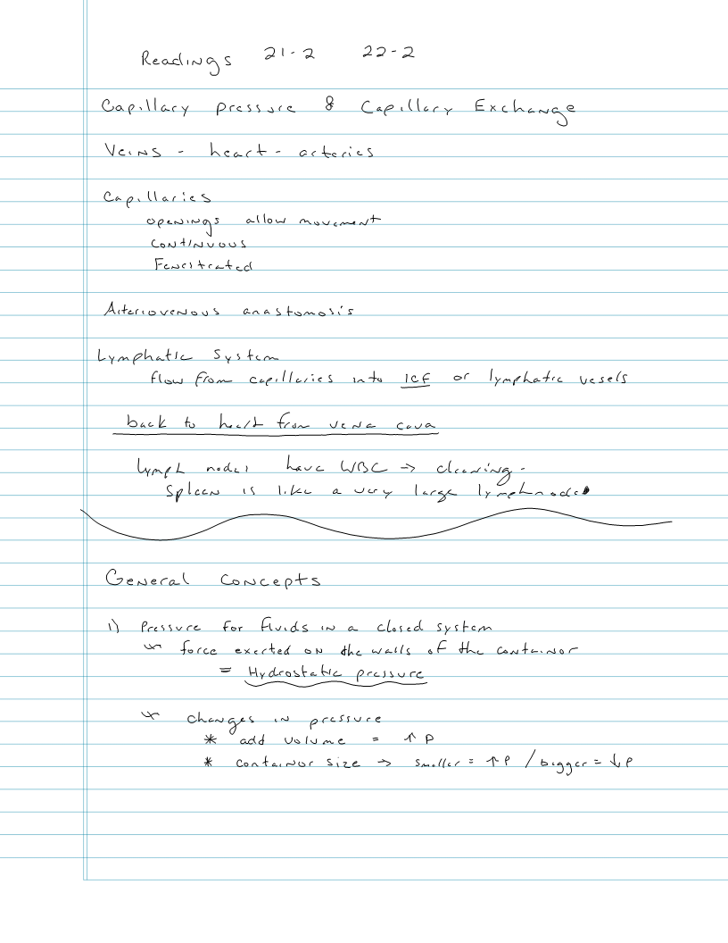Exam 2 - Blood Vessels 