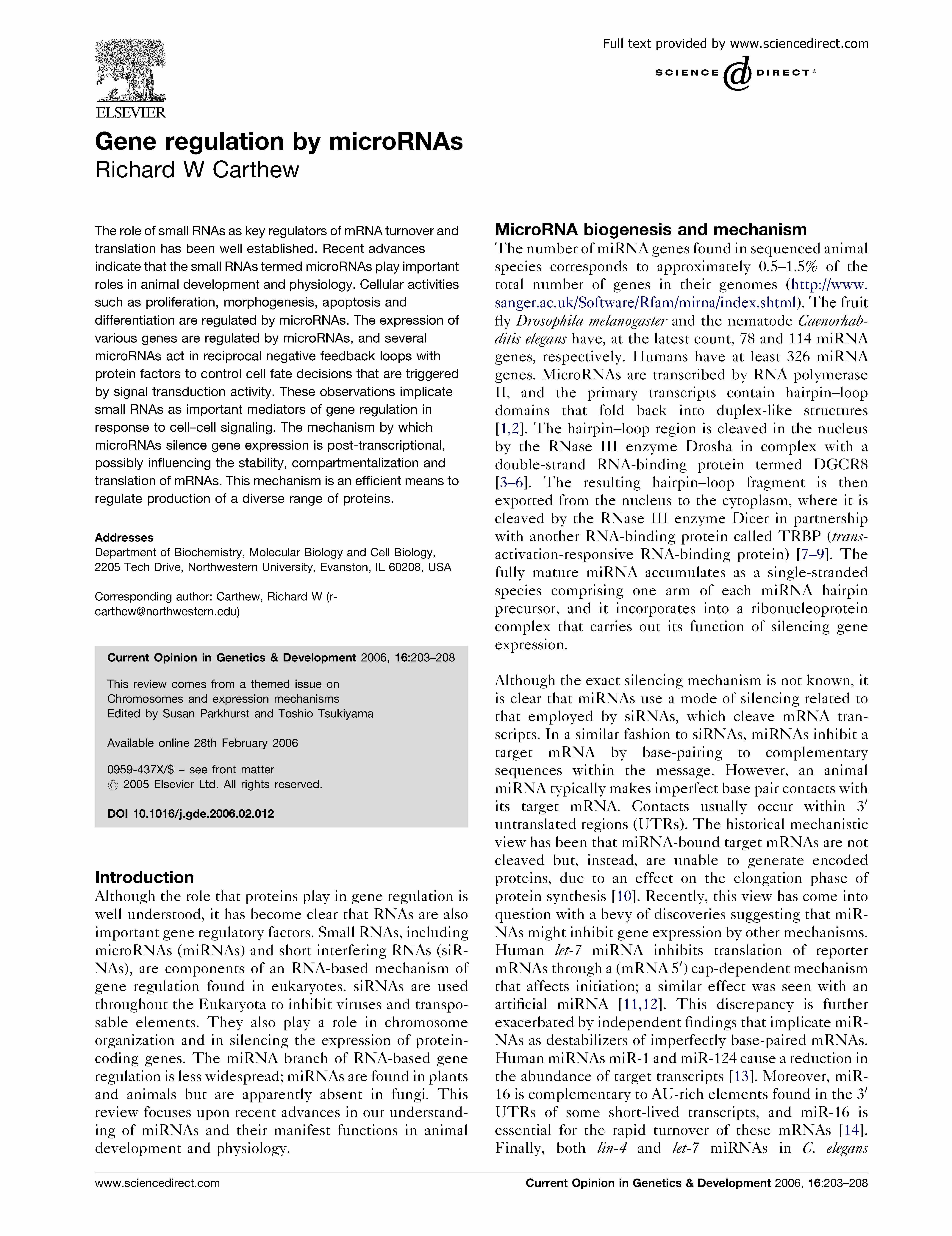 ADV PHOTO EDITING & DSGN