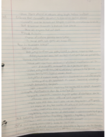 Week 8 Notes