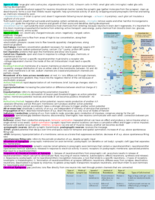 study guide exam 1 (part 2)