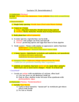 Bio Lecture 19: Invertebrates 1