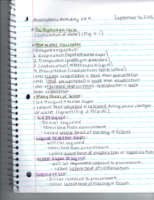 Week 5 notes