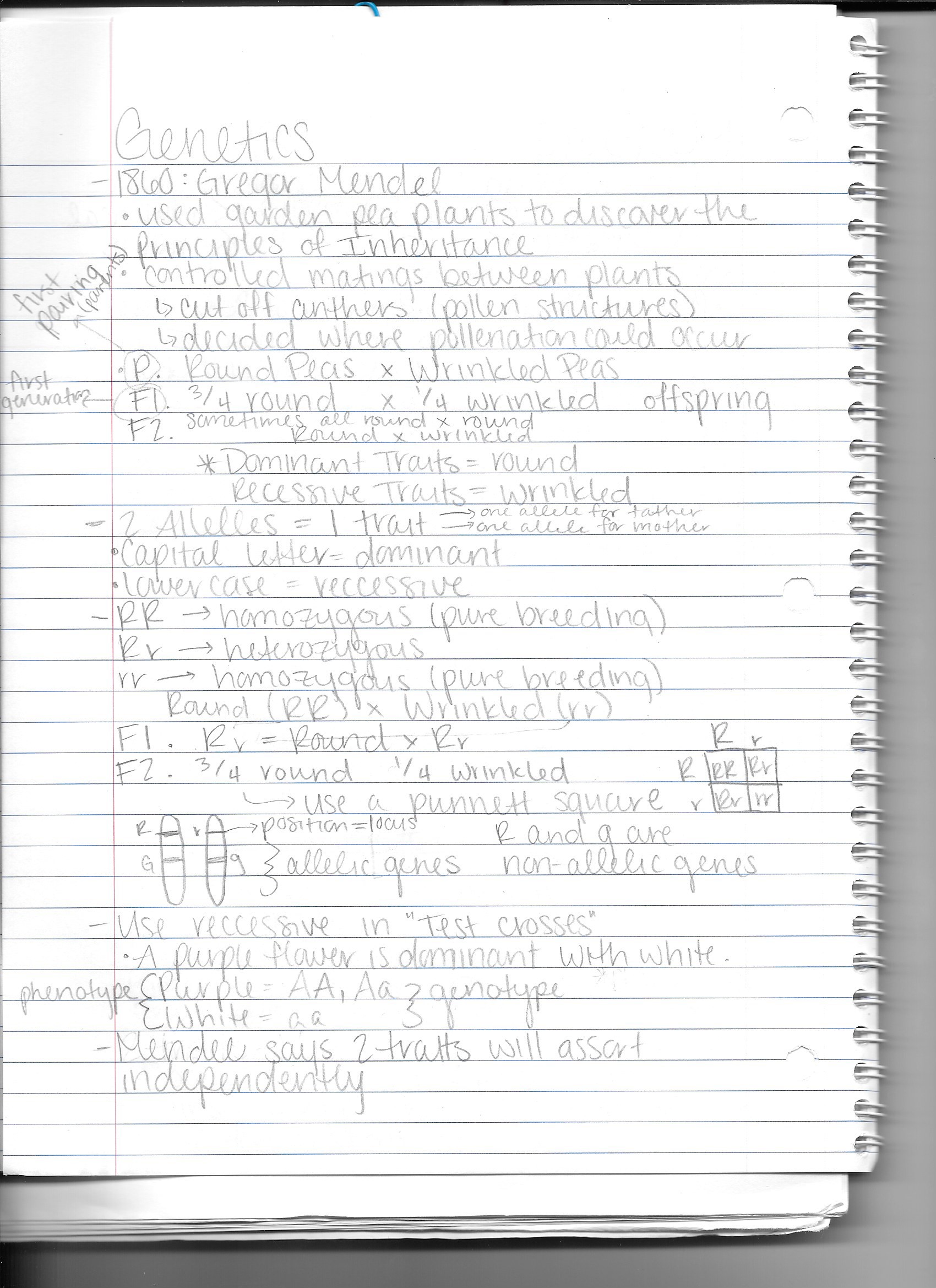 10/19/15- 10/23/15 (Biology)