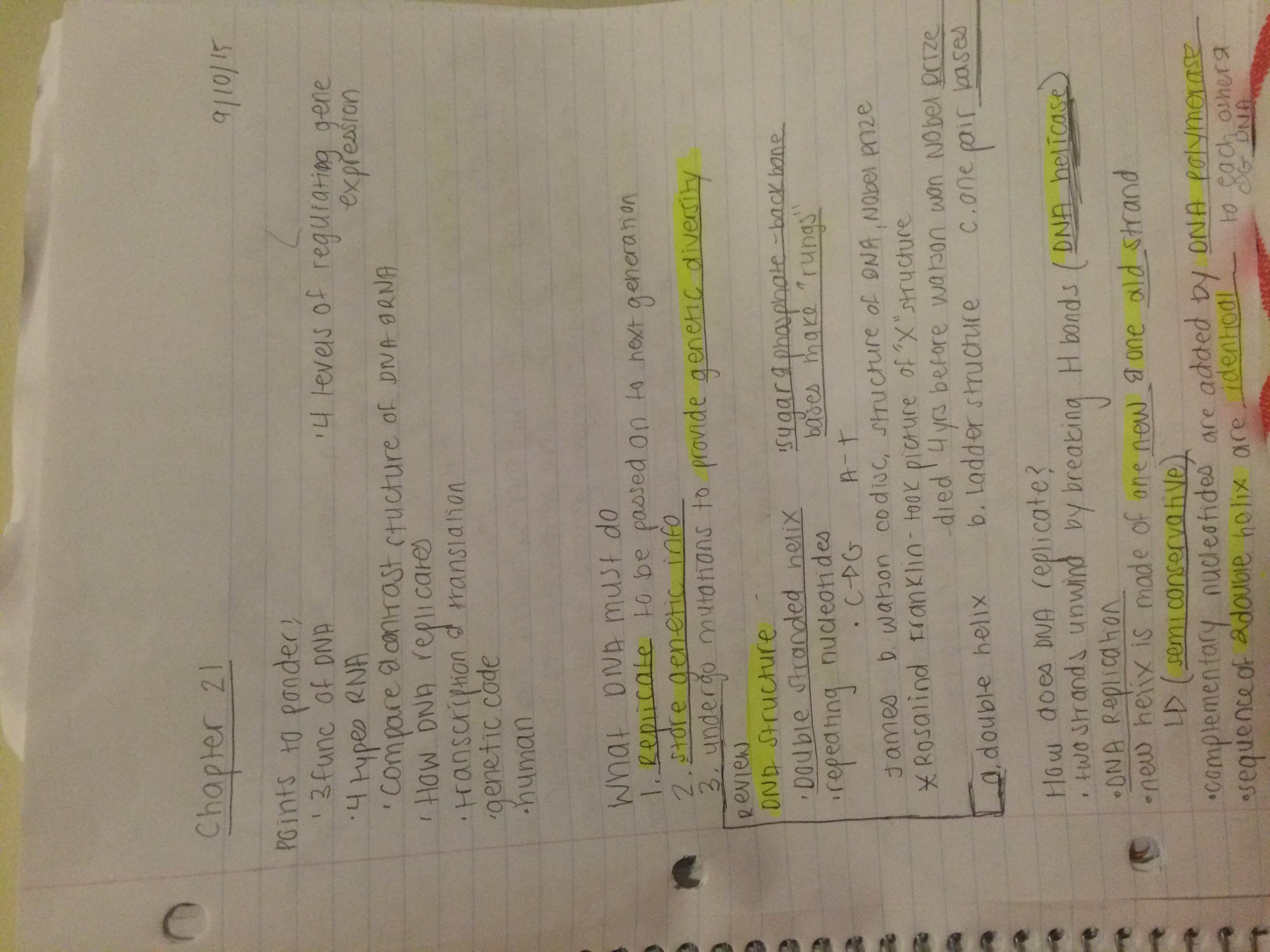 Chapter 21 notes 