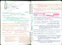 CD-0061 Personal Social Development: Attachment, Aggression, Identity