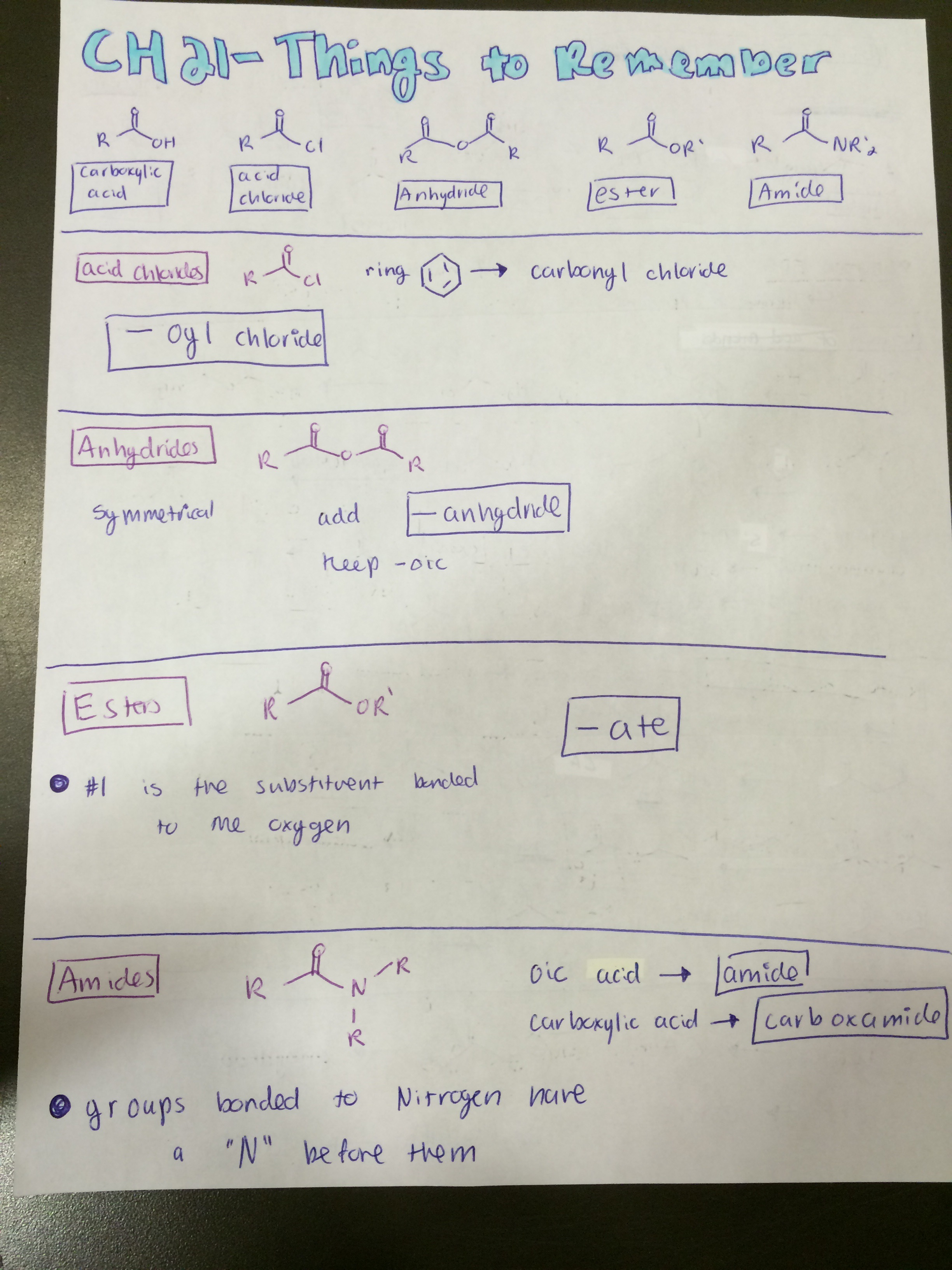 Chapter 21 Study Guide