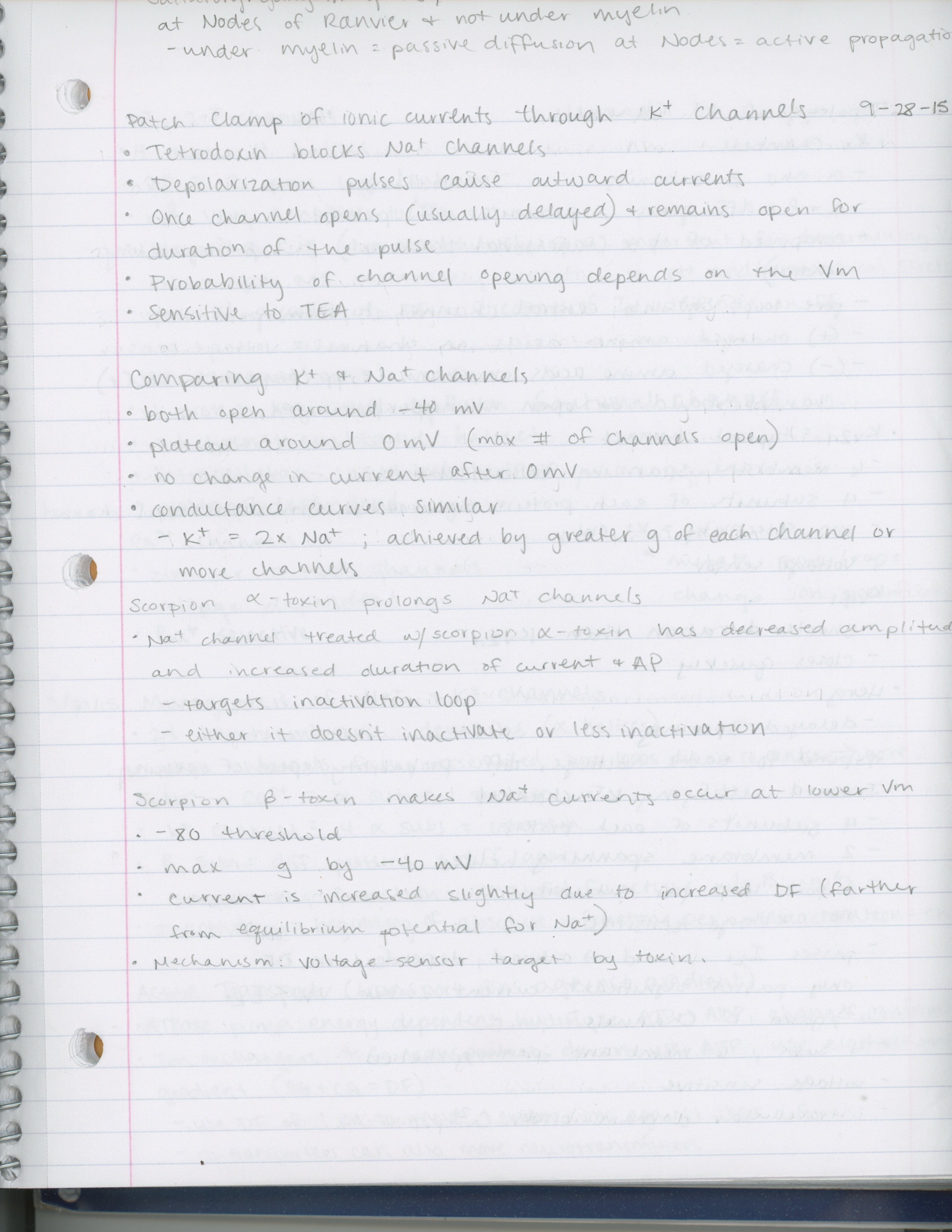 Week 4 Notes-Neurobiology 1