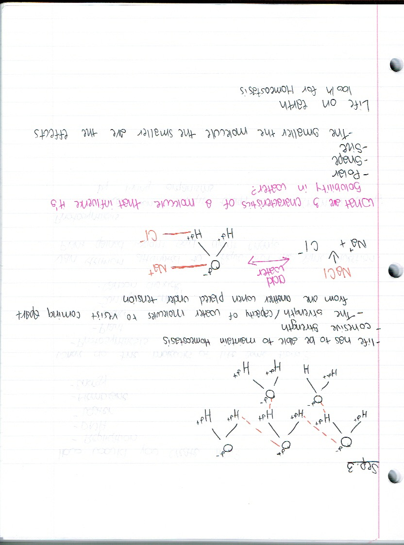 Sept.2 Notes