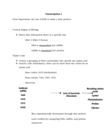 Week 3: Transcription