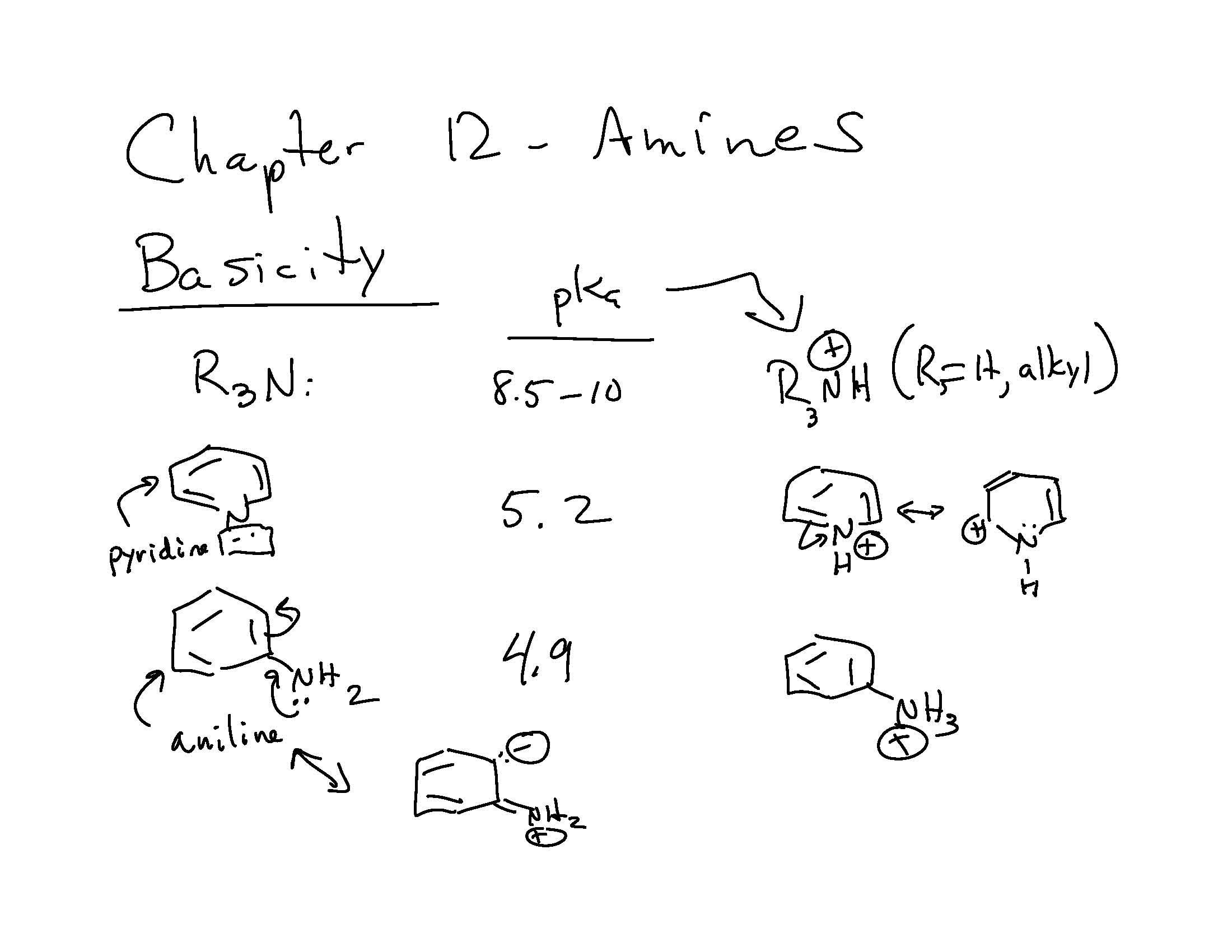 ORG CHEM SHORT PROG