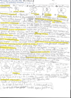 Final Exam Notes