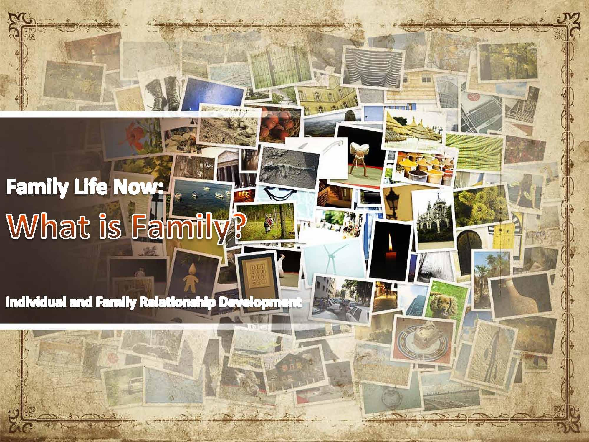 Development of Individual and Family Relationships