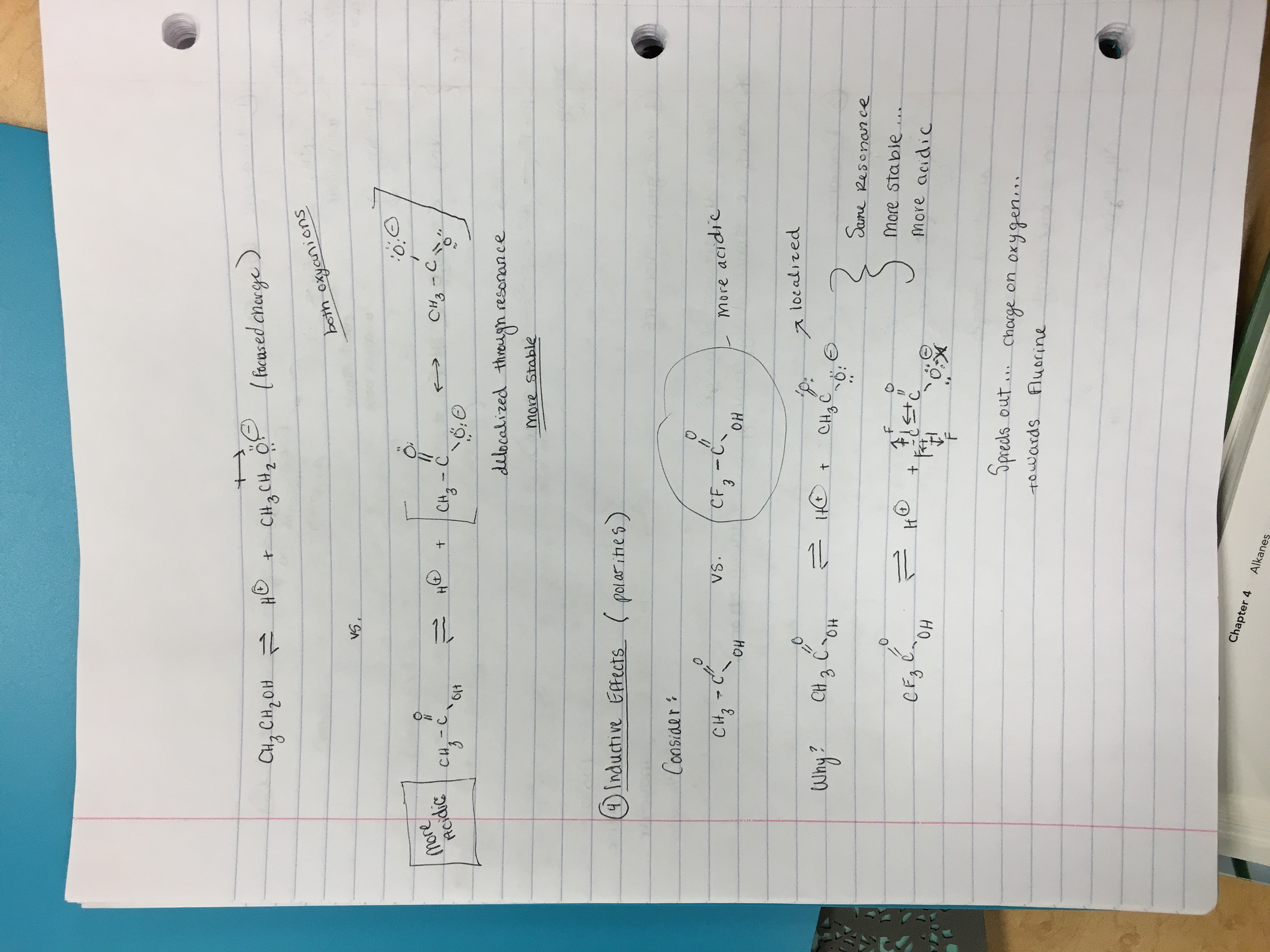 Study Guide Bundle of Notes