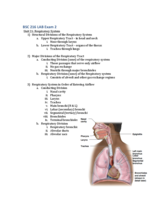 BSC 216 LAB Exam 2 Study Guide w/ models labeled