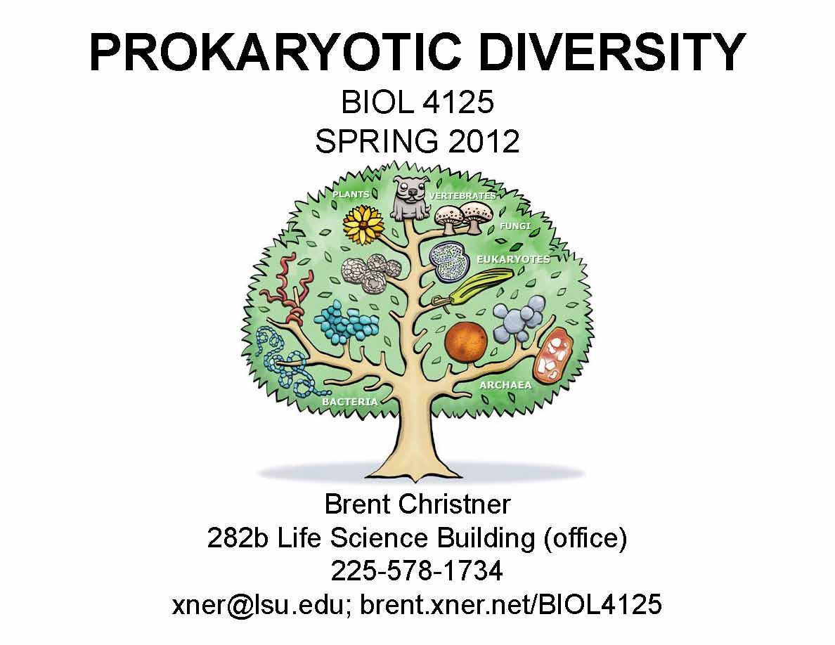 PROKARYOTIC DIVERSIT
