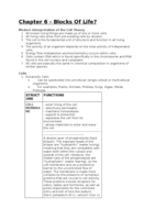 Chapter 6 - Blocks of Life?