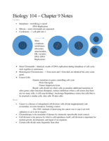 Biology 104 - Chapter 9 Notes 