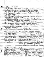 Week 1&2 Notes- Accounting Lab