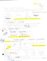 Week 1 Lecture- Lewis Dot, Formal Charge, Orbitals, etc (Chapter 1)