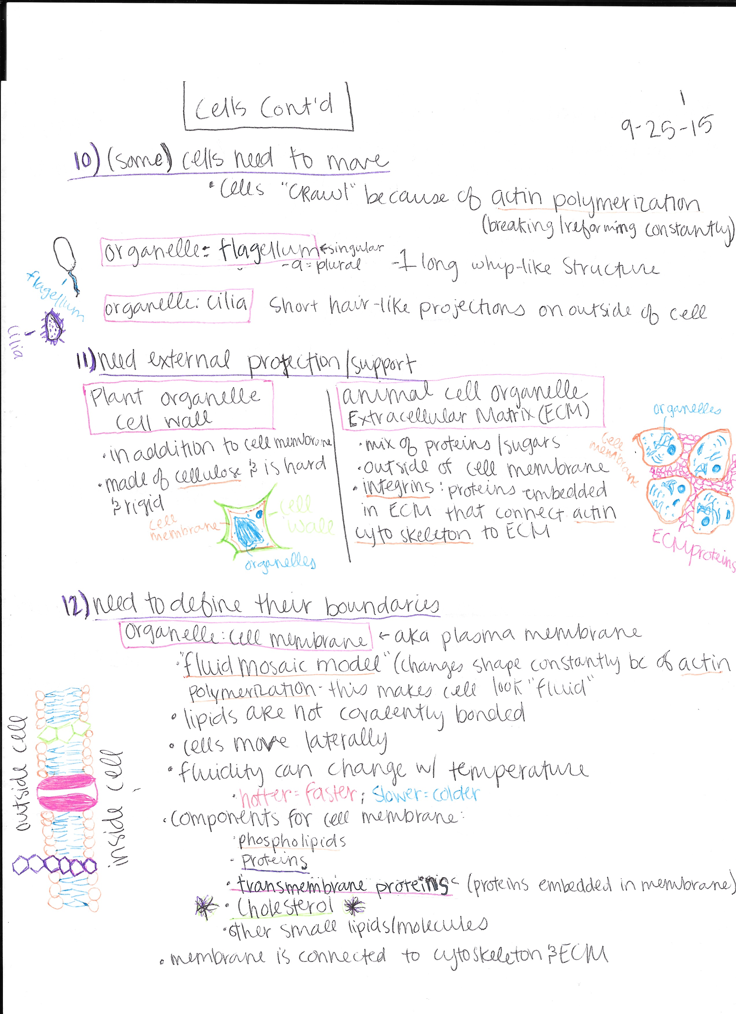 Ch 2(continued)-Ch 4