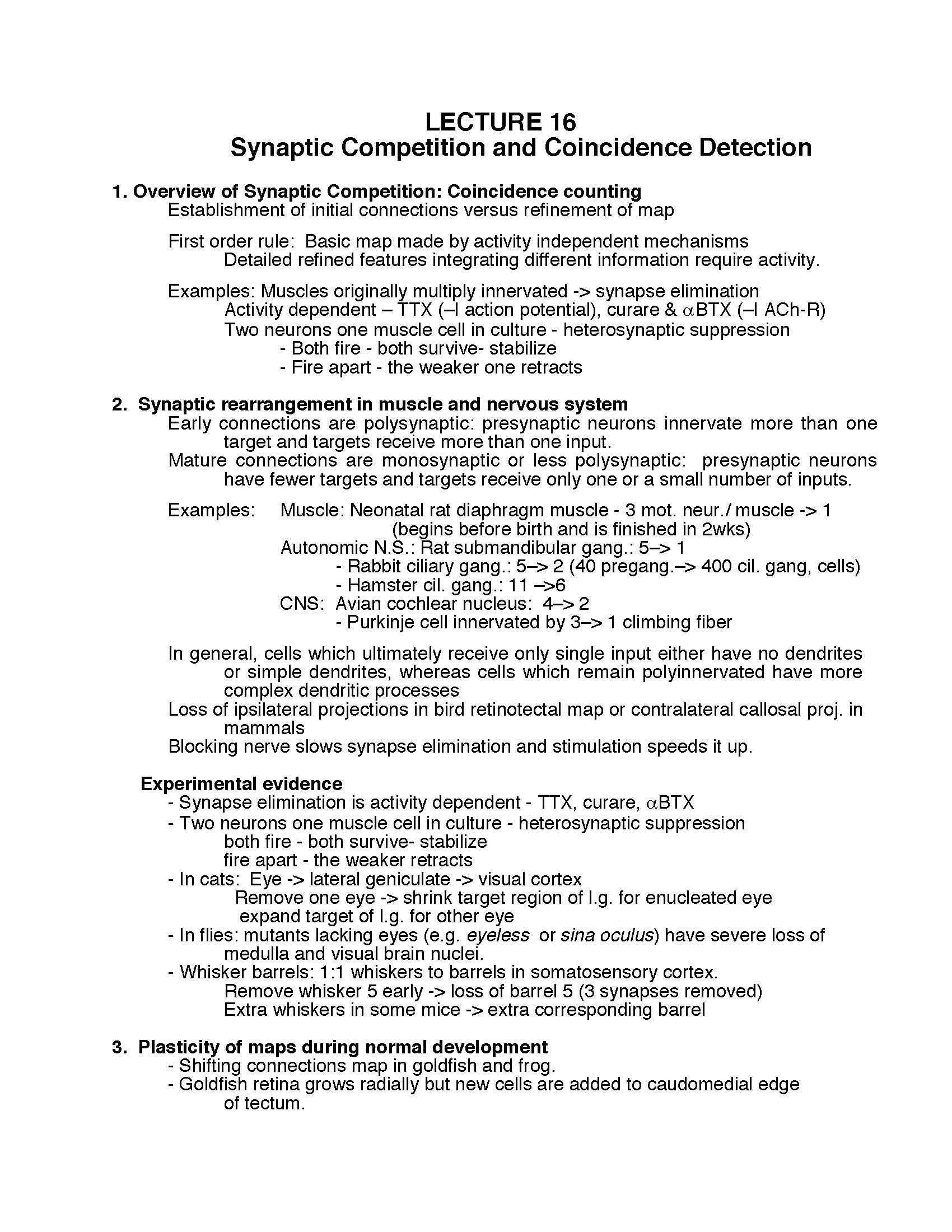Developmental Neurobiology