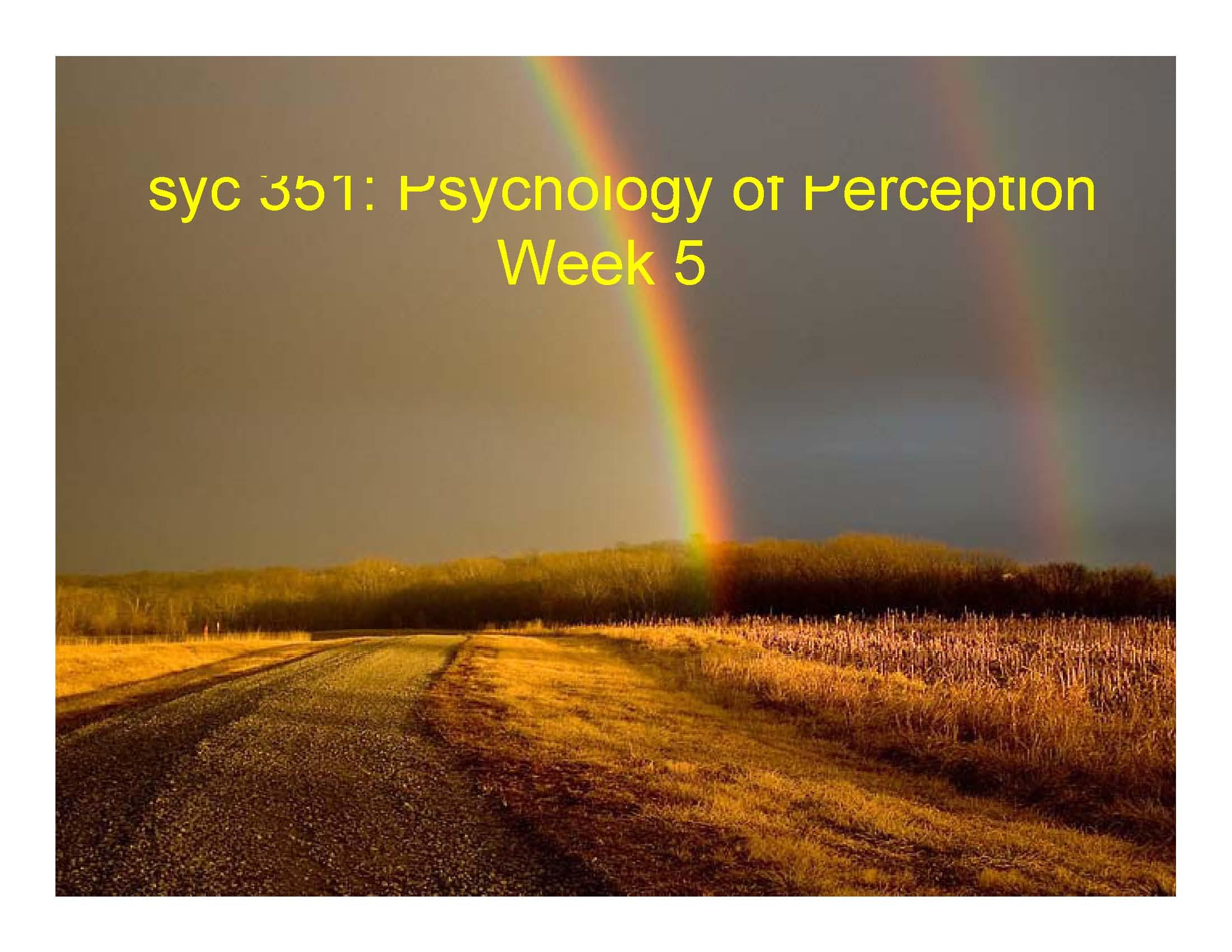 PSYCHOLOGY OF PERCEPTION