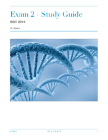 Exam 2 Study guide