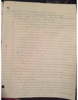 Week 9 Notes