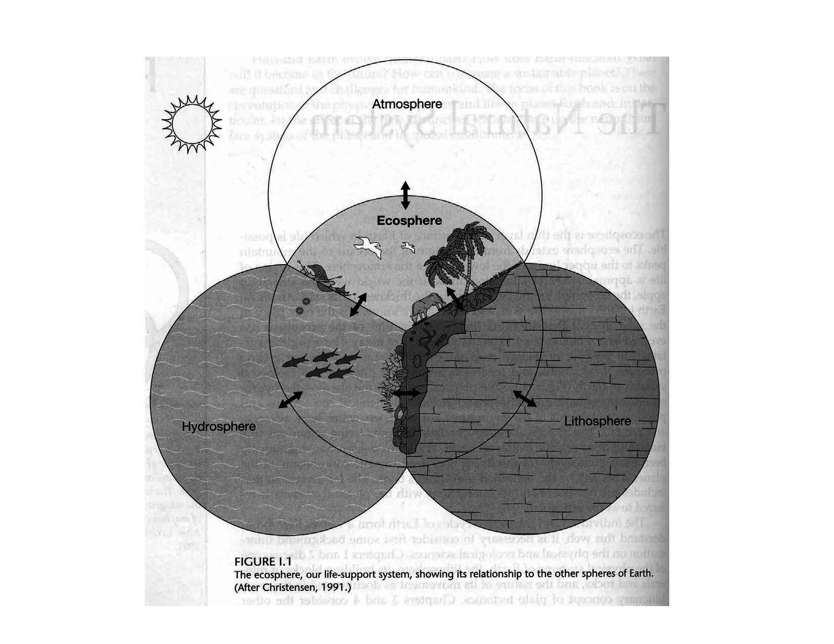 Biodiversity and Sustainability