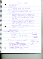 Microbiology (1st 3 Weeks)